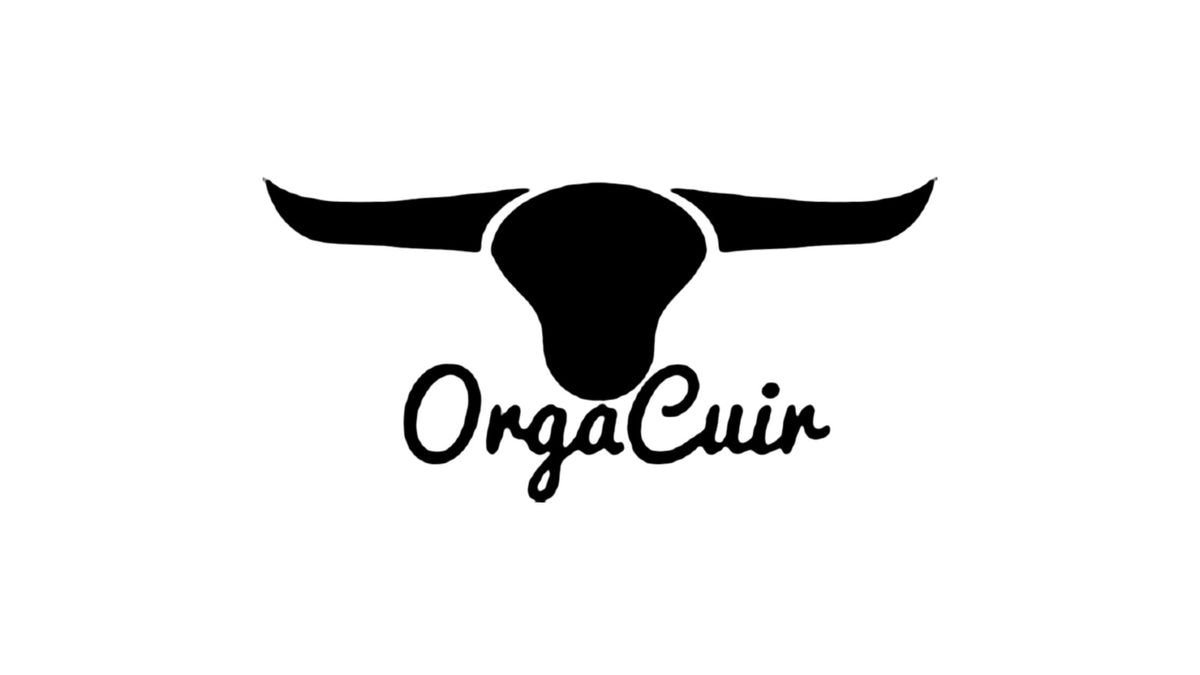 Logo ORGACUIR